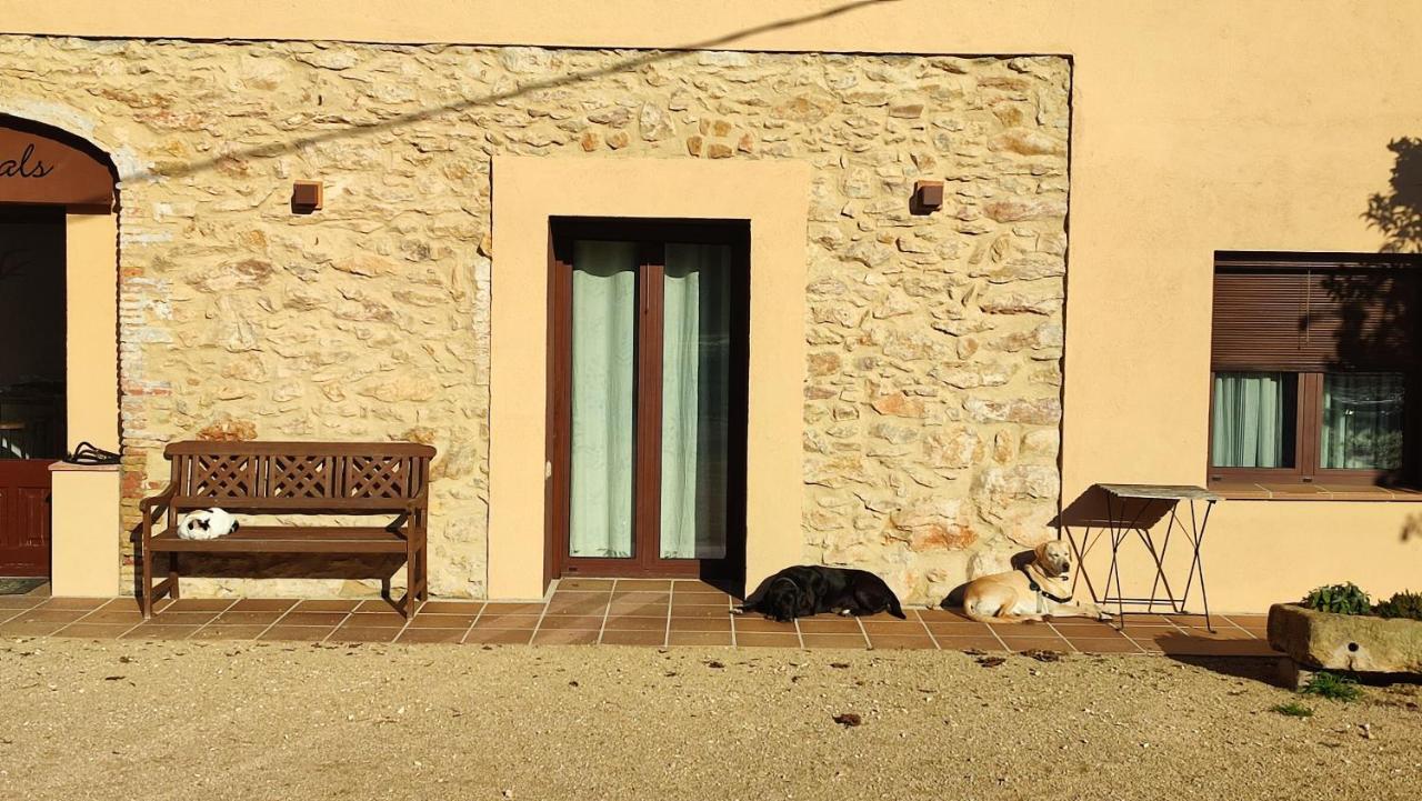 Can Costals Terraza Pals Luaran gambar